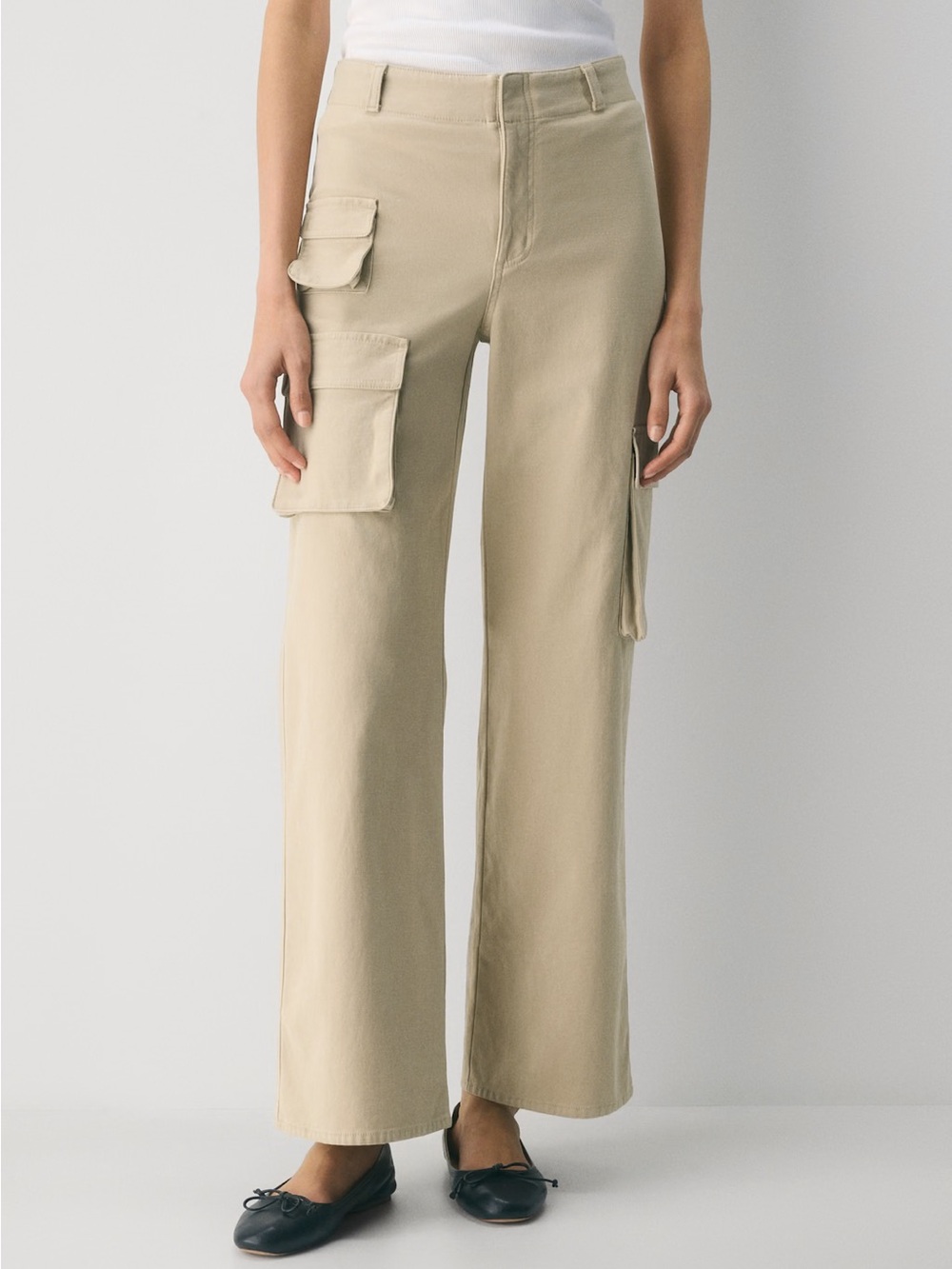 NWOT Aritzia Wilfred Free Size 10 Picture Wide-Leg Cargo Pant